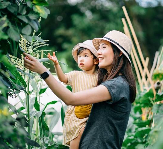 Make Hong Kong a more sustainable place1